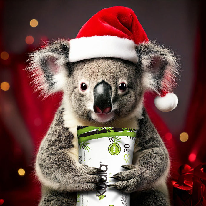 Stock Up on Hygiene Essentials: A Pre-Christmas Checklist