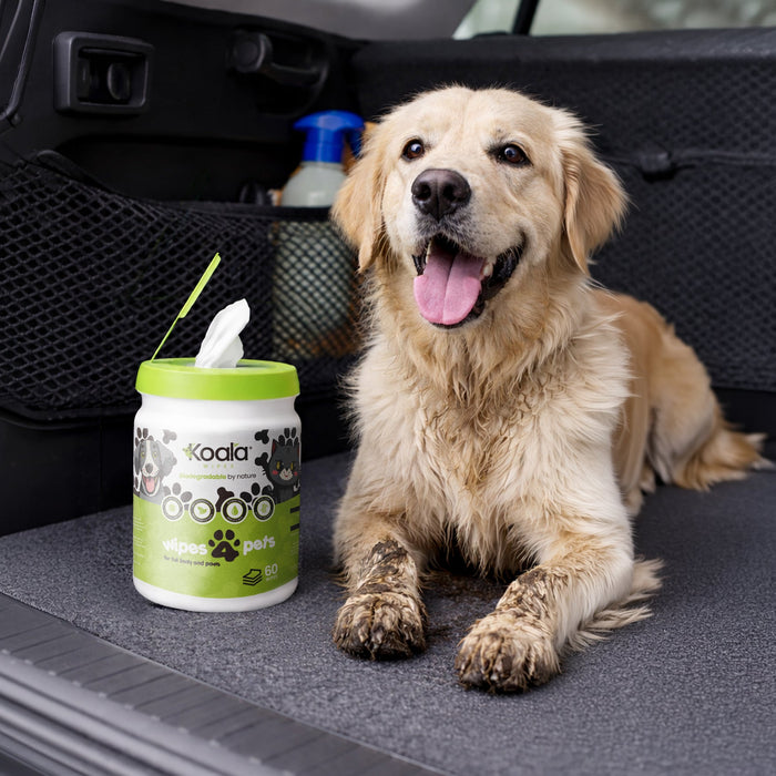 The Everyday Benefits of Using Pet Wipes