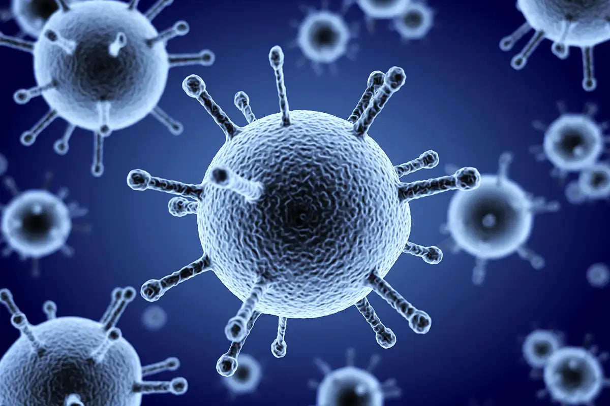 Flu Season is Here!