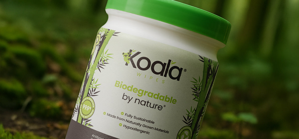 The Future Is Plastic-Free