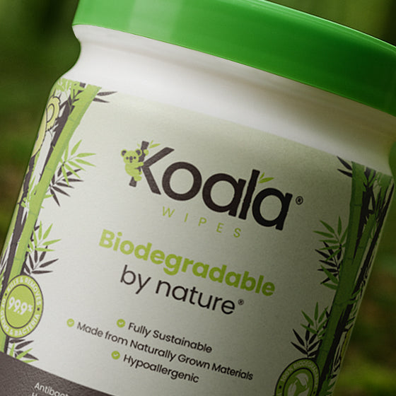 The Future Is Plastic-Free