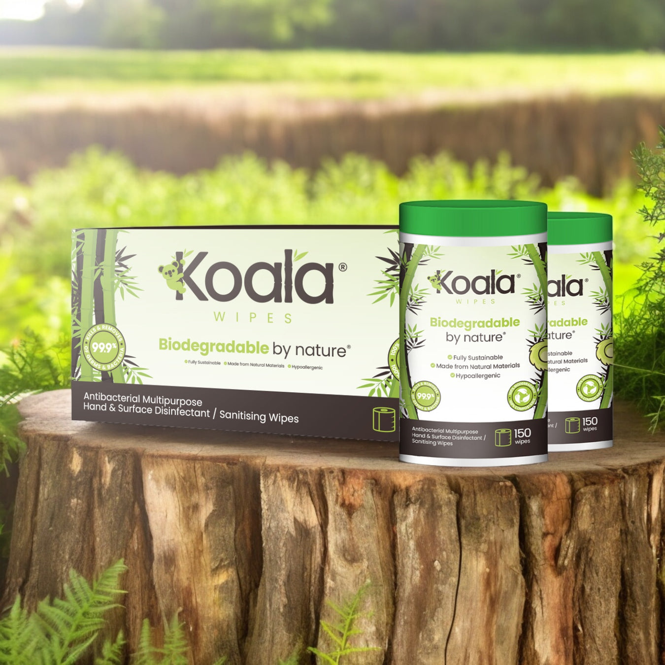 Eco-Friendly Antibacterial Wipes in a Tub: Refillable & Convenient Cleaning Solutions