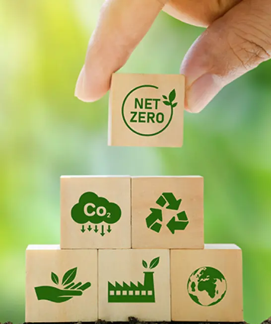 Biodegradable compostable antibacterial wipes with sustainability symbols.